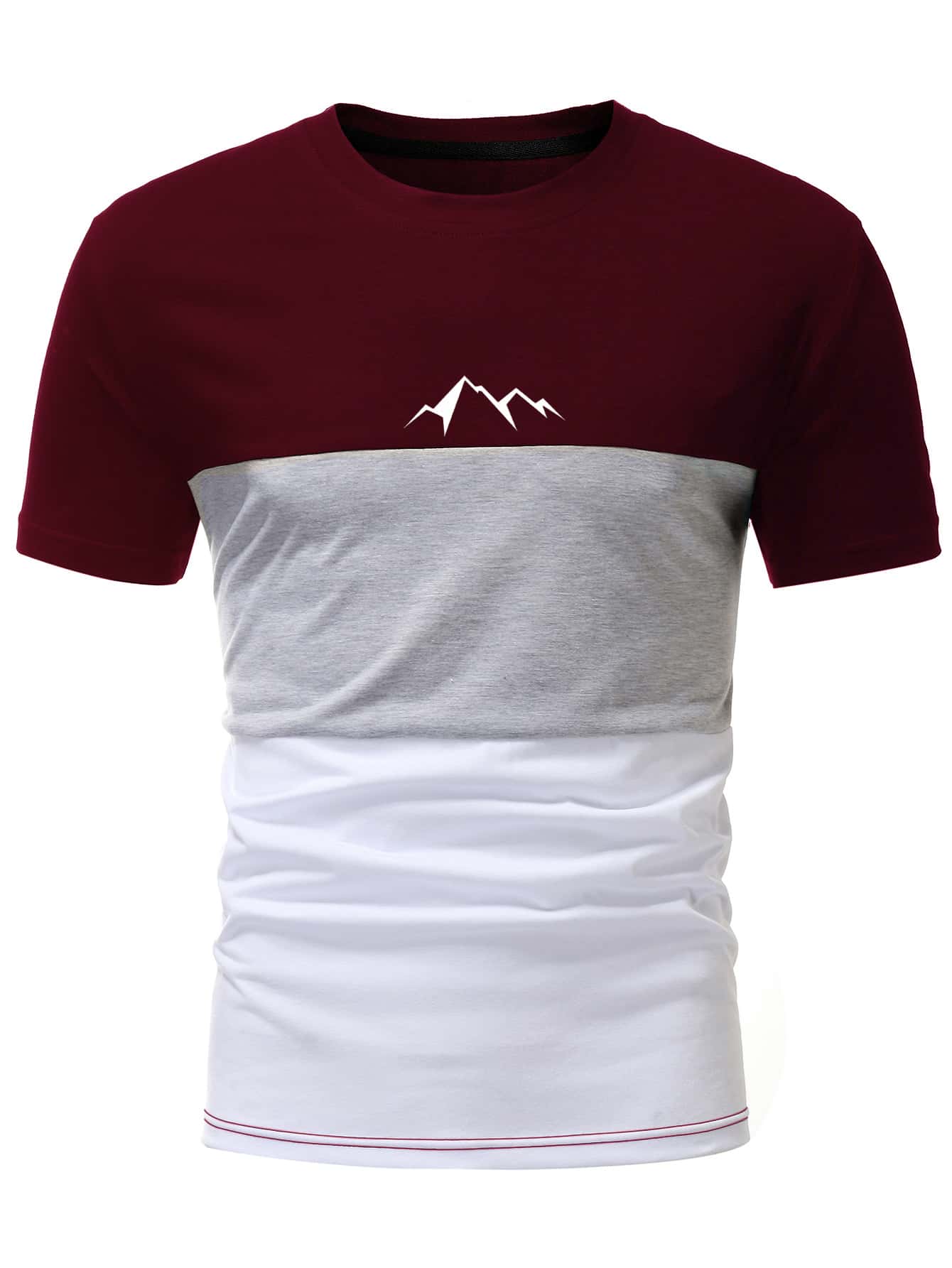 Manfinity Homme Men Color Block Mountain Print Tee